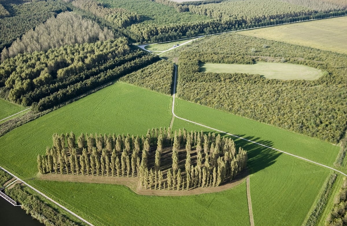 Paesaggi Mentali / Traiettorie Naturali